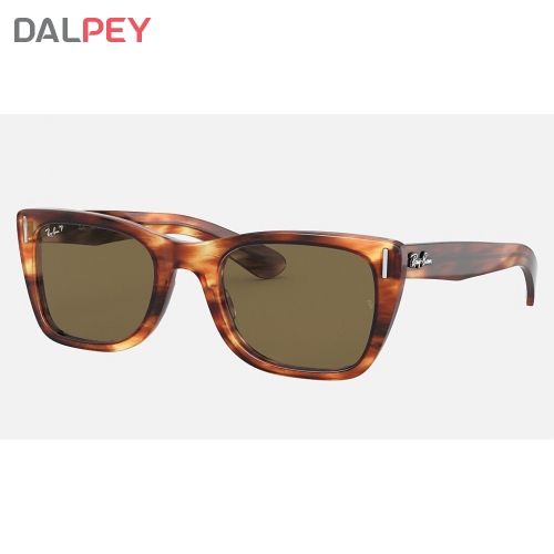 ray ban wayfarer iconic